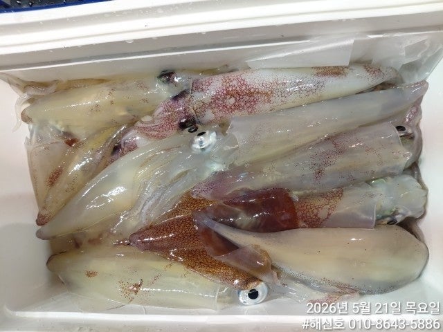 ����ڰ� �ø� �̹���
