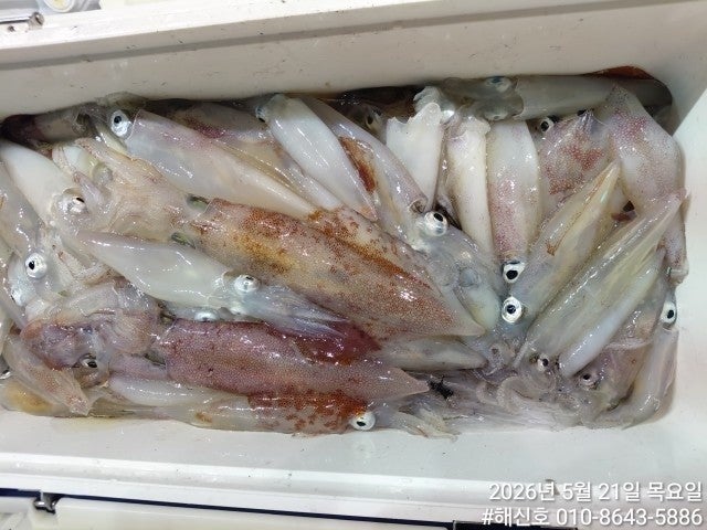 ����ڰ� �ø� �̹���