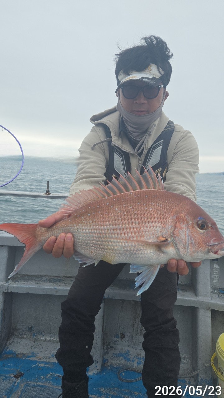 ����ڰ� �ø� �̹���