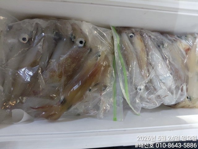 ����ڰ� �ø� �̹���