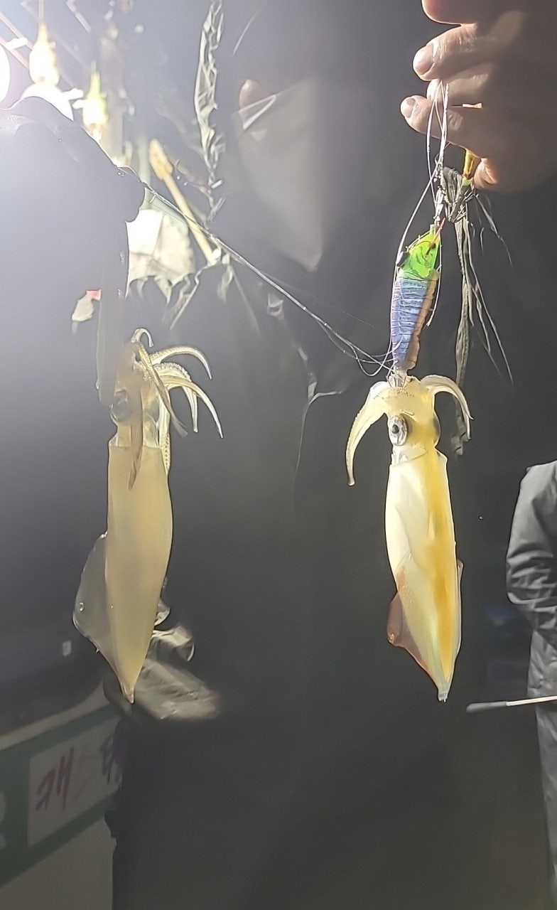사용자가 올린 이미지