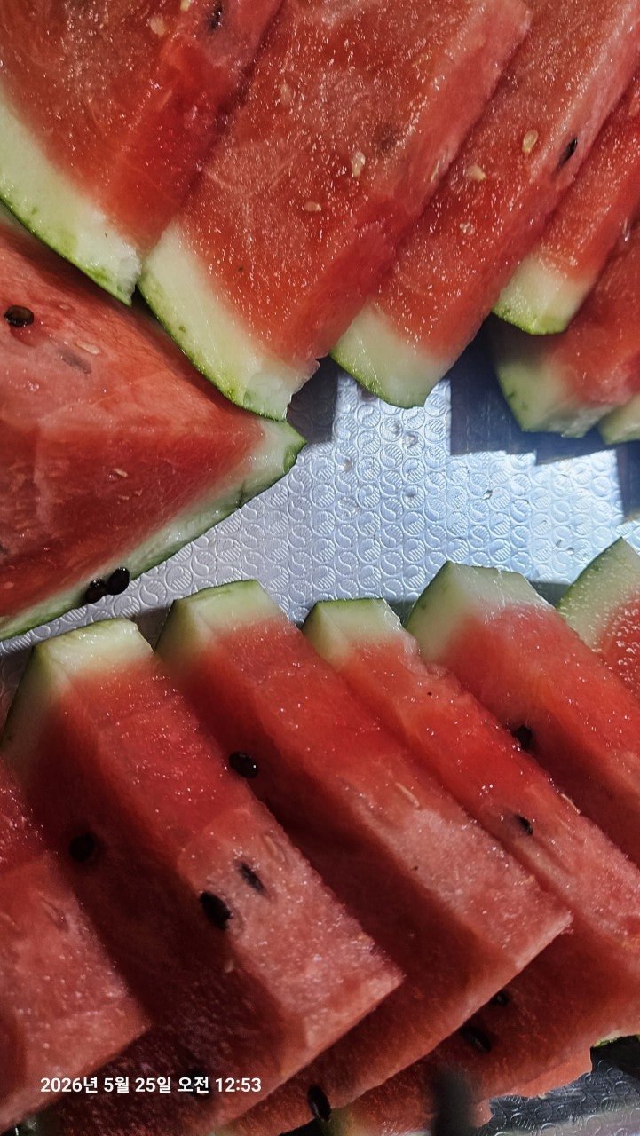 ����ڰ� �ø� �̹���