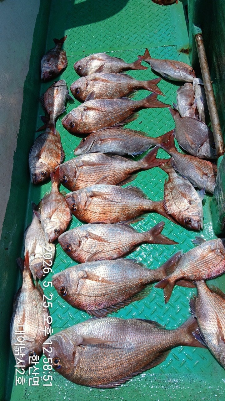 ����ڰ� �ø� �̹���