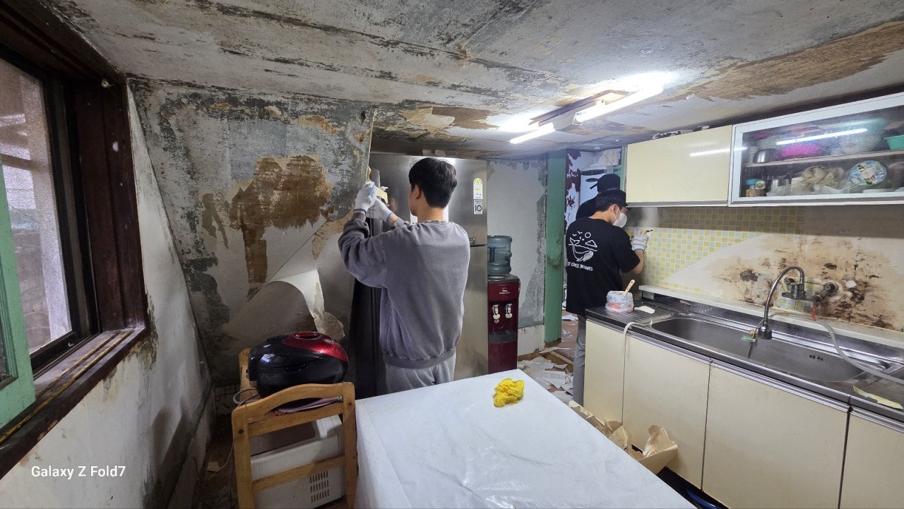 사용자가 올린 이미지