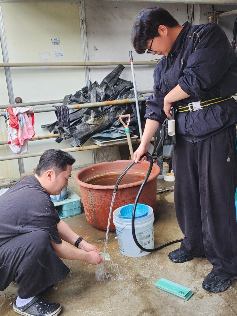 사용자가 올린 이미지