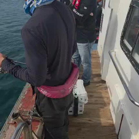 사용자가 올린 영상