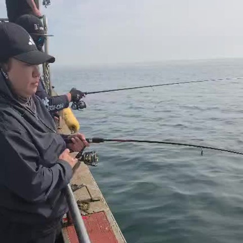 사용자가 올린 영상