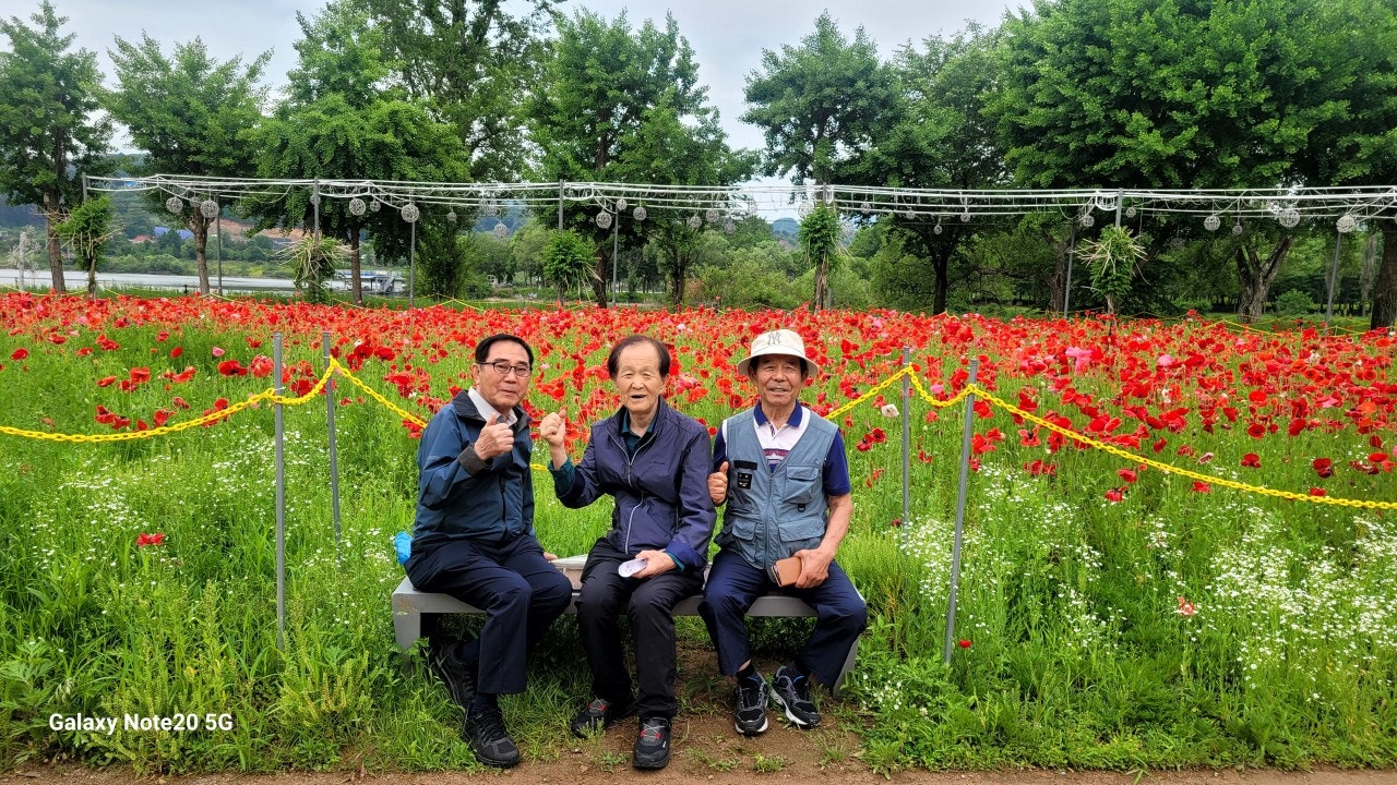 사용자가 올린 이미지