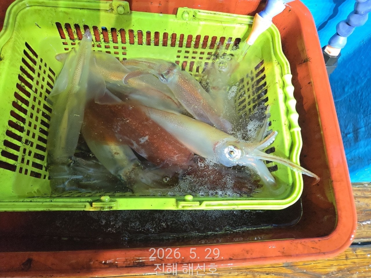 ����ڰ� �ø� �̹���