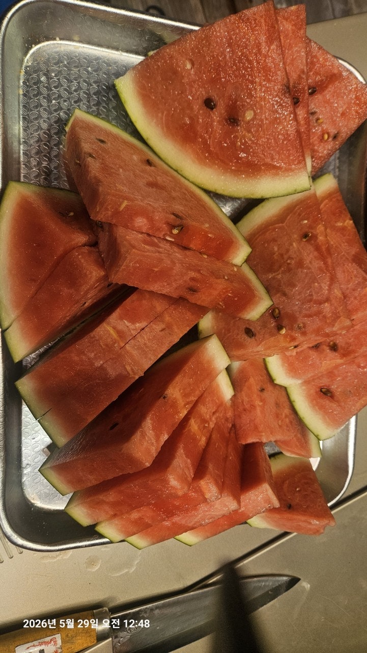 ����ڰ� �ø� �̹���