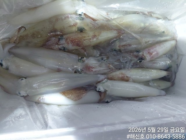 ����ڰ� �ø� �̹���