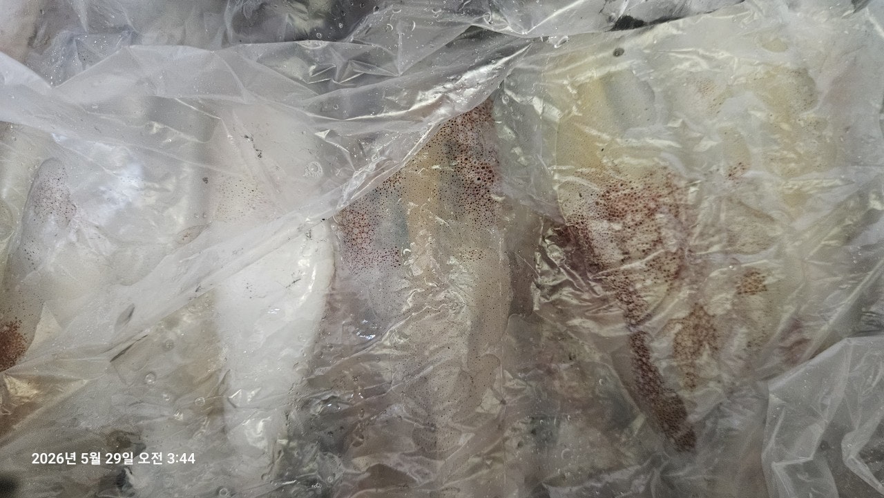 ����ڰ� �ø� �̹���