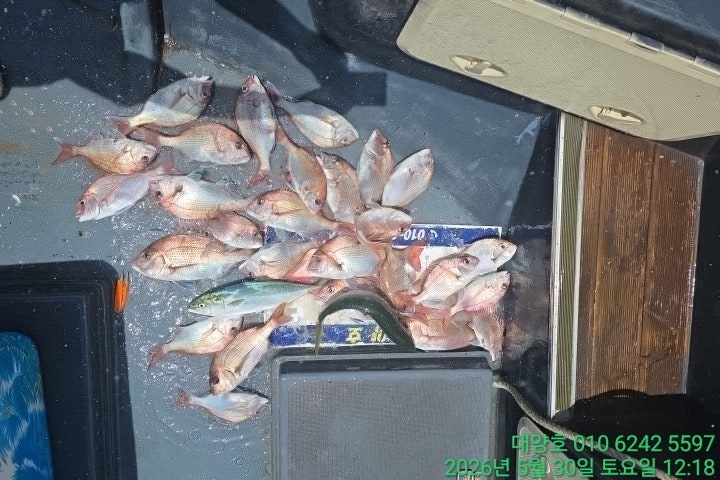 ����ڰ� �ø� �̹���