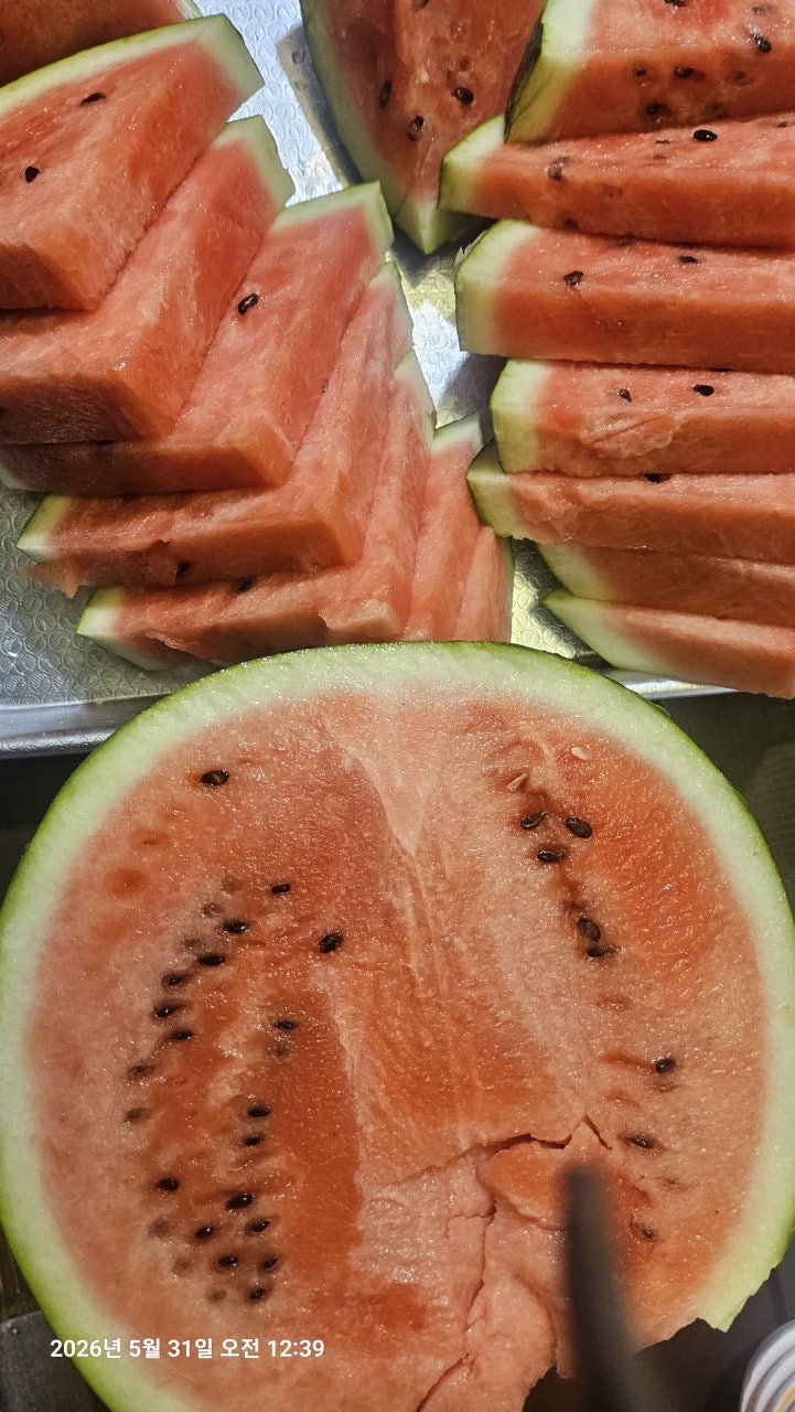 ����ڰ� �ø� �̹���