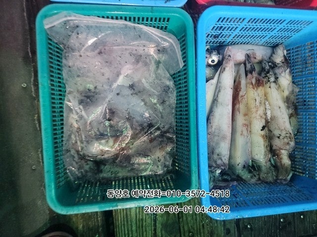 ����ڰ� �ø� �̹���