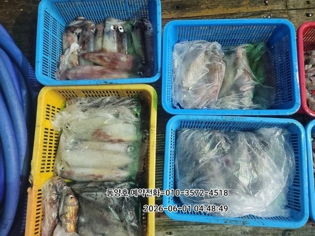 ����ڰ� �ø� �̹���