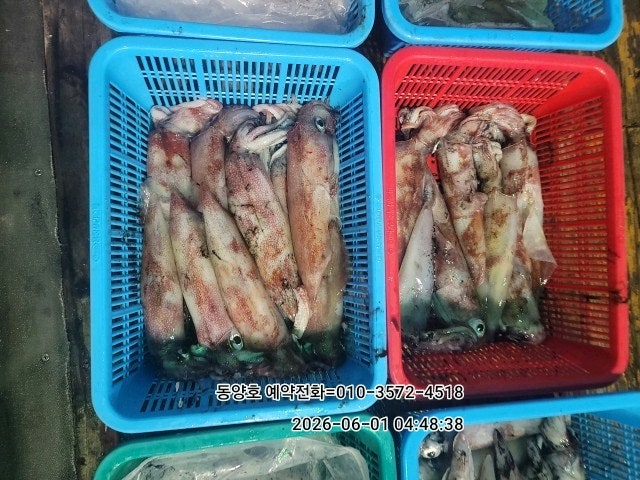 ����ڰ� �ø� �̹���