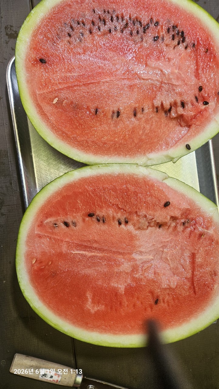 ����ڰ� �ø� �̹���
