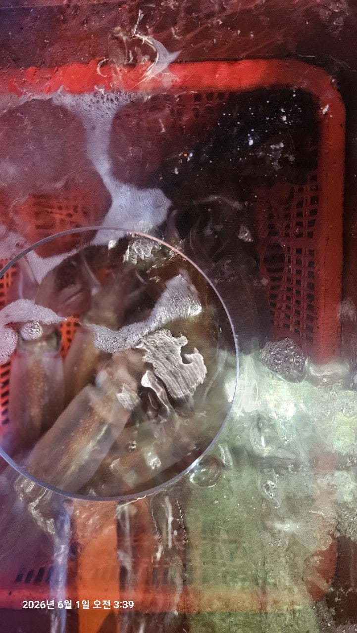 ����ڰ� �ø� �̹���