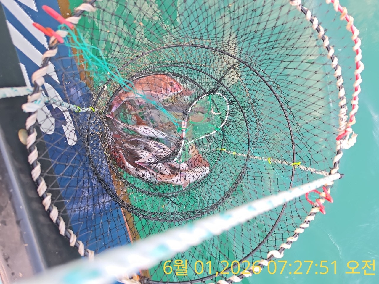 ����ڰ� �ø� �̹���