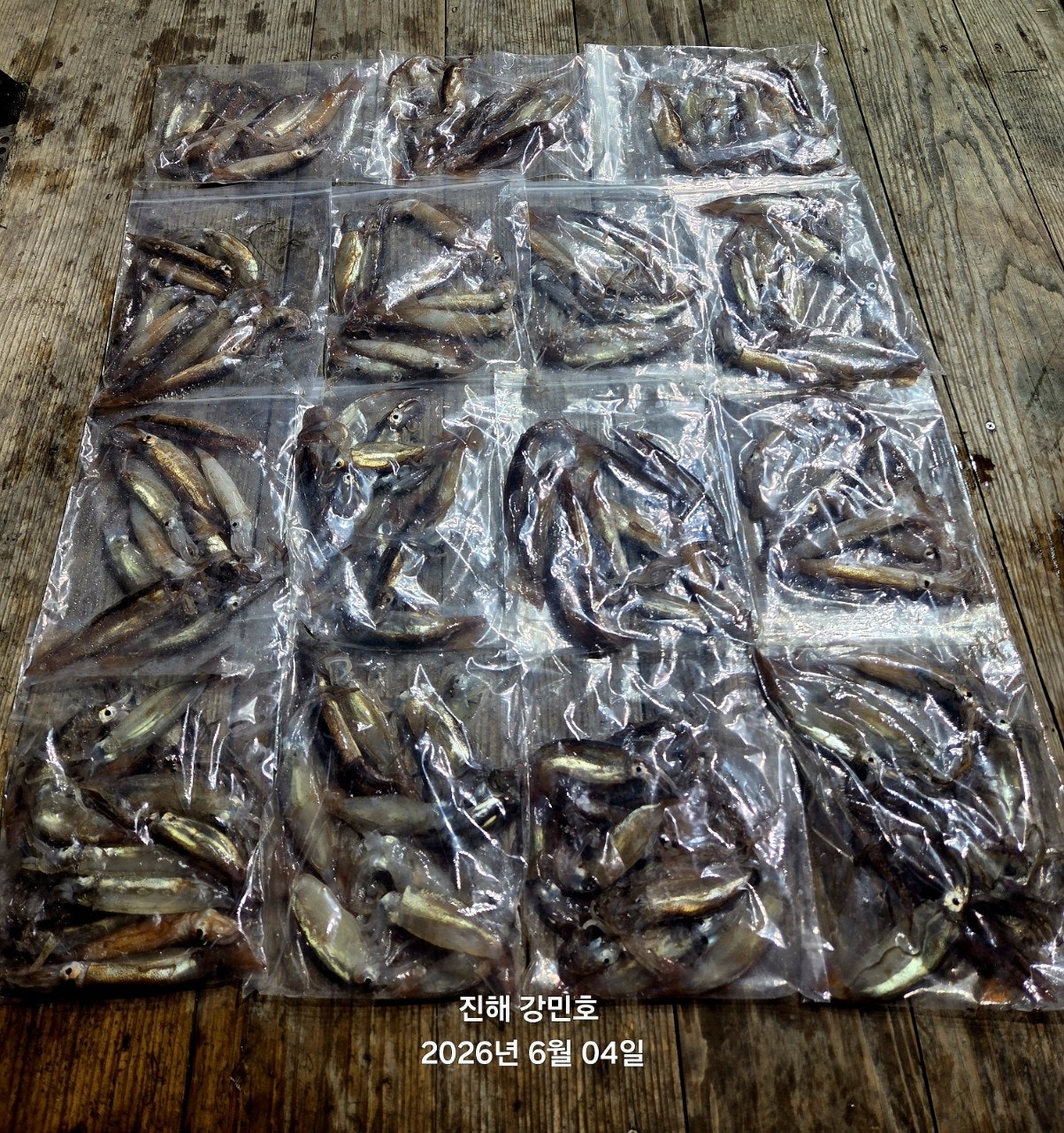 ����ڰ� �ø� �̹���