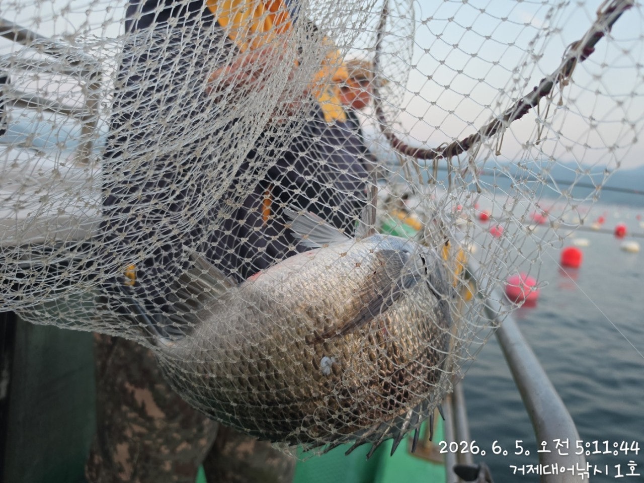 ����ڰ� �ø� �̹���