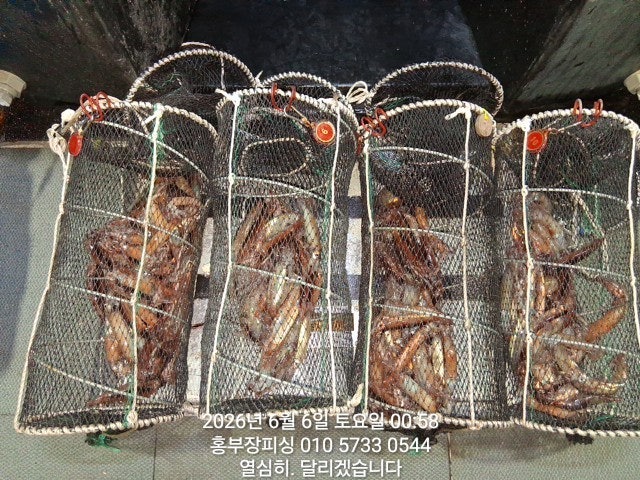 ����ڰ� �ø� �̹���