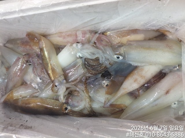 ����ڰ� �ø� �̹���