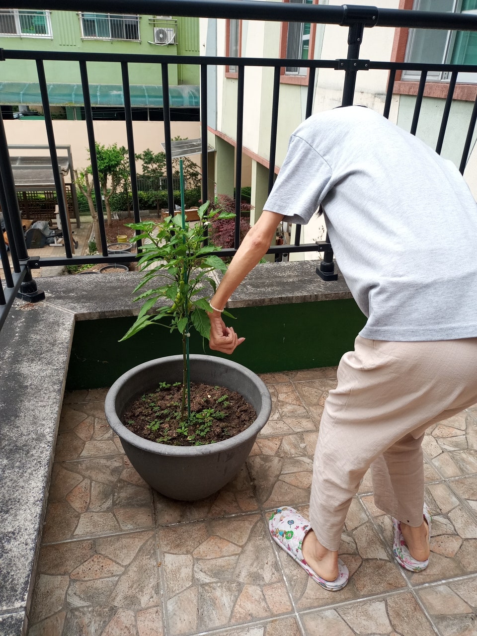 사용자가 올린 이미지