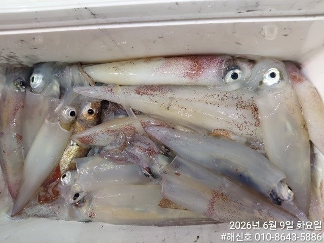 ����ڰ� �ø� �̹���
