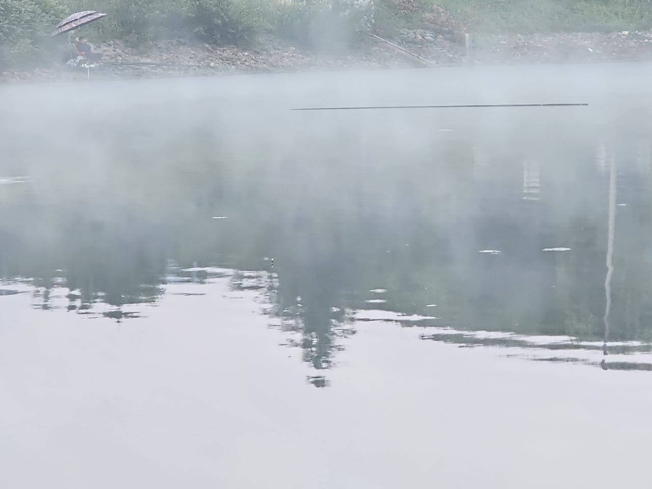 ����ڰ� �ø� �̹���
