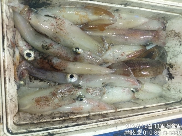����ڰ� �ø� �̹���