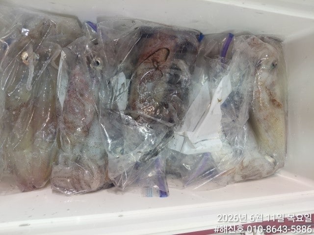 ����ڰ� �ø� �̹���