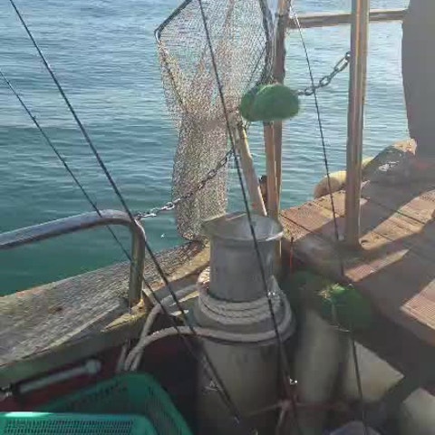 사용자가 올린 영상