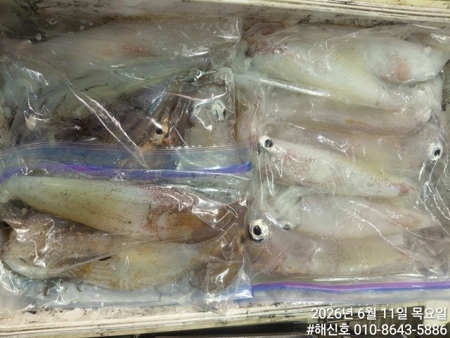 ����ڰ� �ø� �̹���