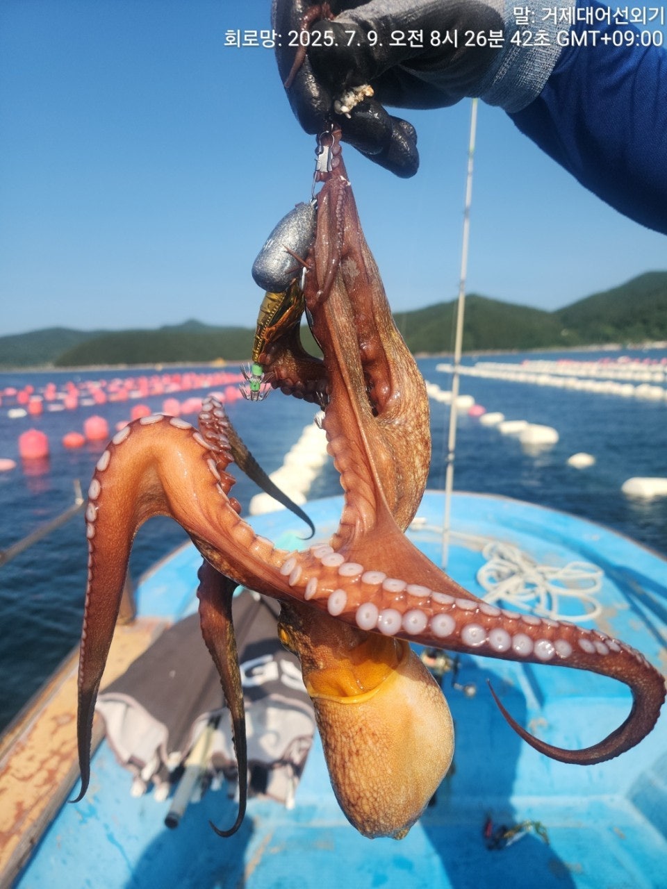 ����ڰ� �ø� �̹���