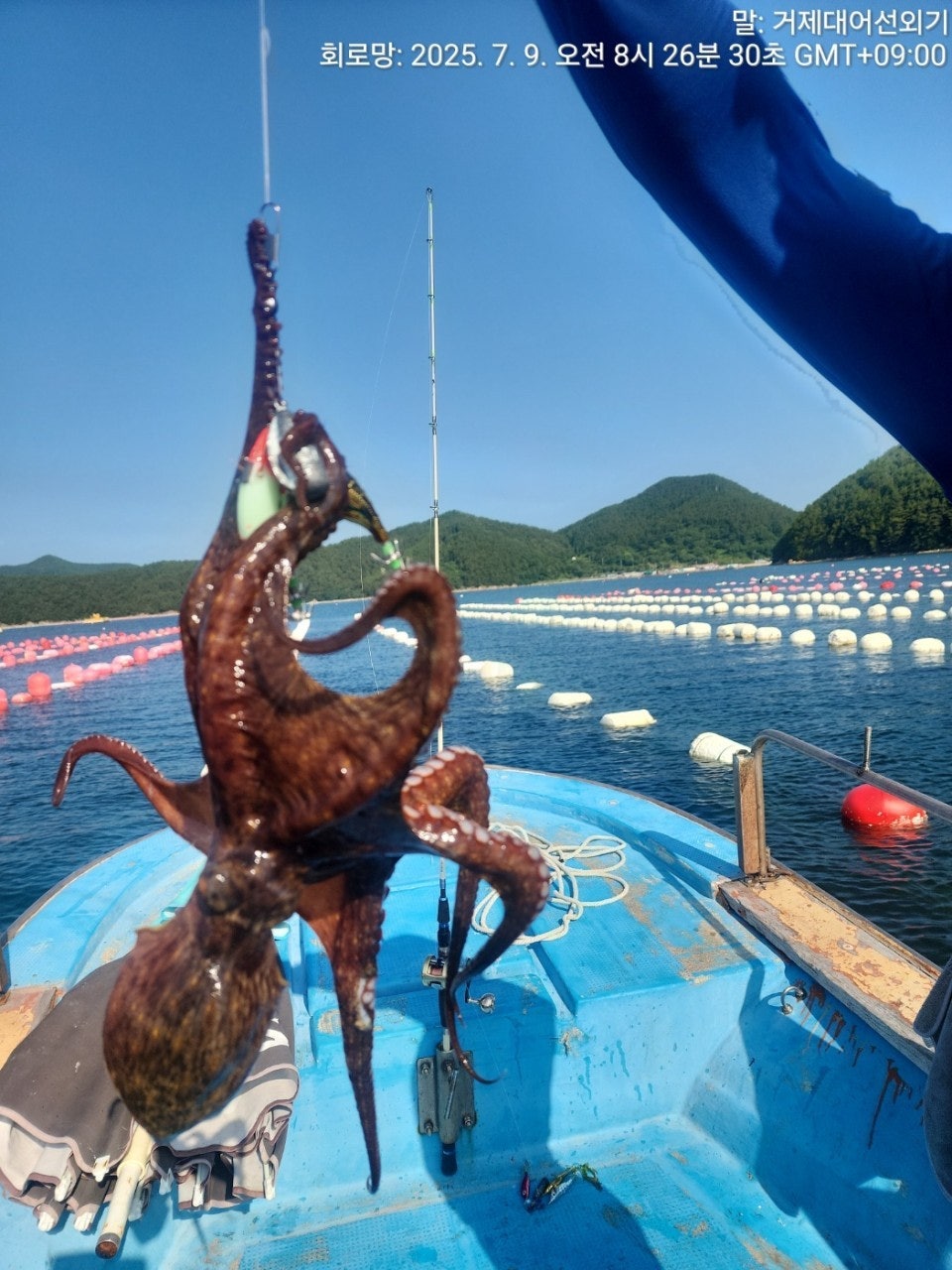 ����ڰ� �ø� �̹���