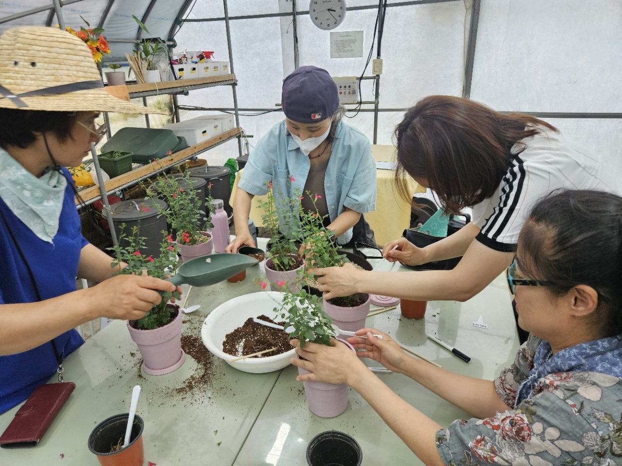 사용자가 올린 이미지