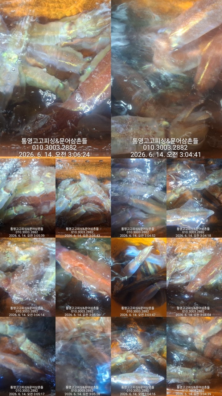 ����ڰ� �ø� �̹���