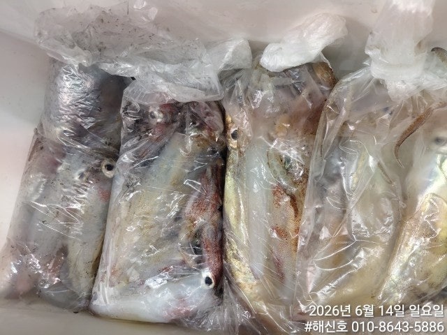 ����ڰ� �ø� �̹���