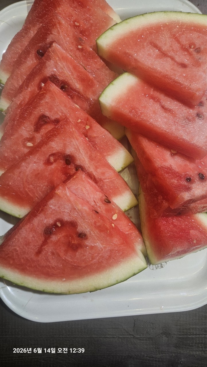 ����ڰ� �ø� �̹���