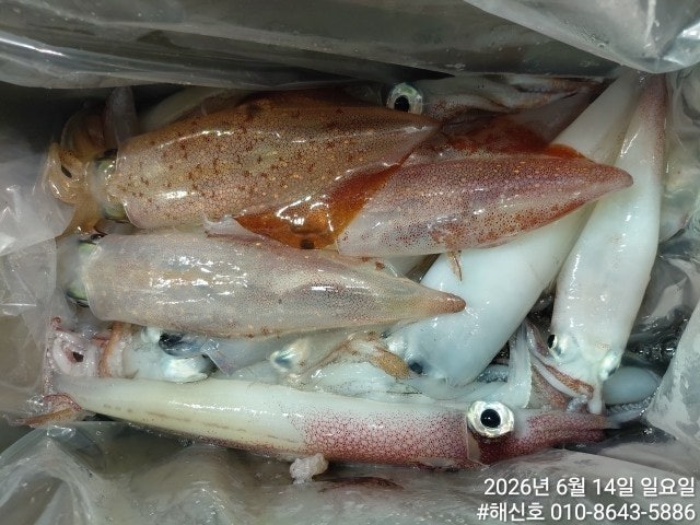 ����ڰ� �ø� �̹���