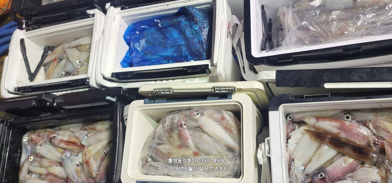 ����ڰ� �ø� �̹���