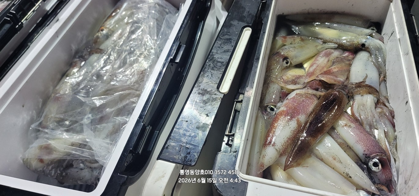 ����ڰ� �ø� �̹���