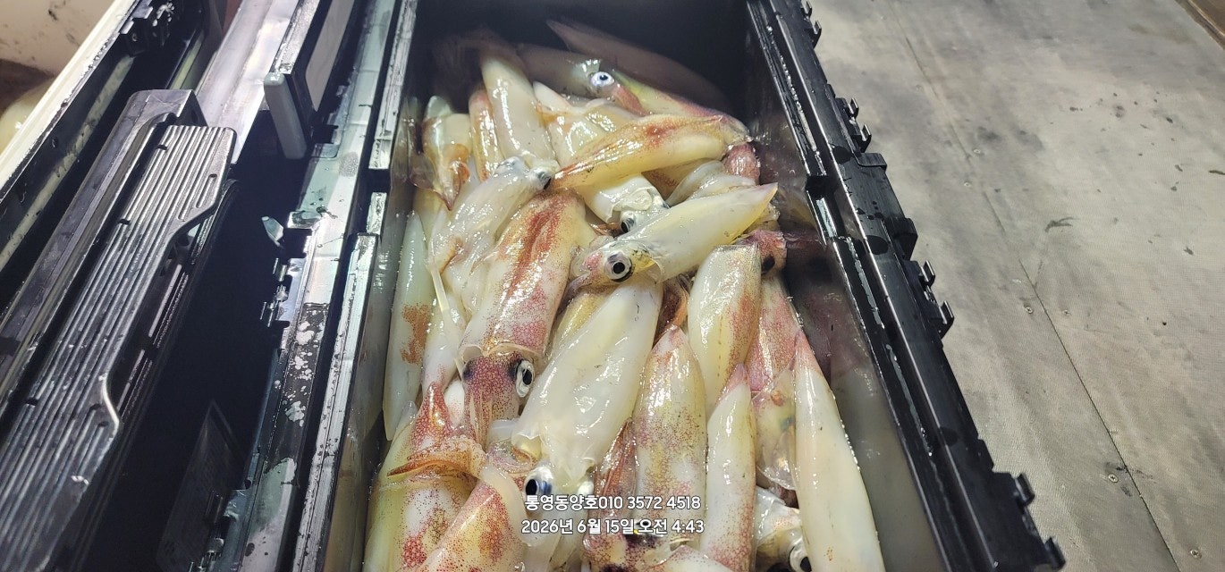 ����ڰ� �ø� �̹���