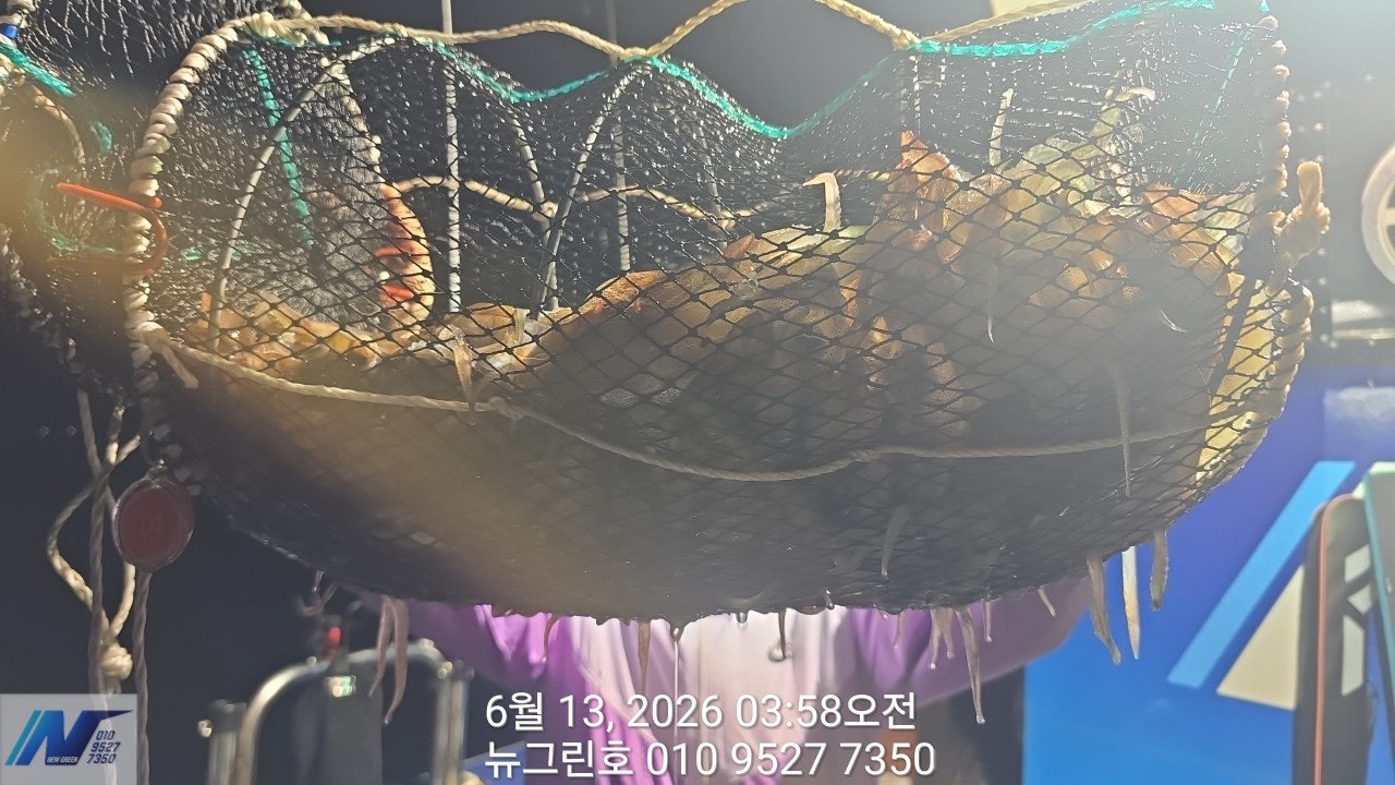����ڰ� �ø� �̹���