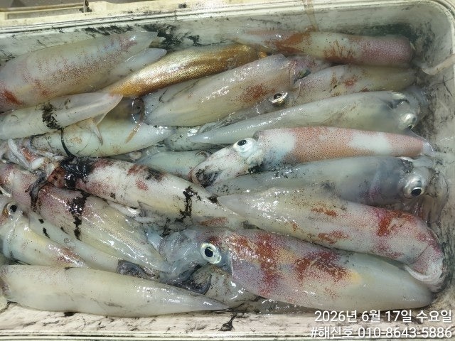 ����ڰ� �ø� �̹���