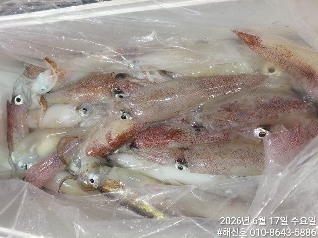 ����ڰ� �ø� �̹���