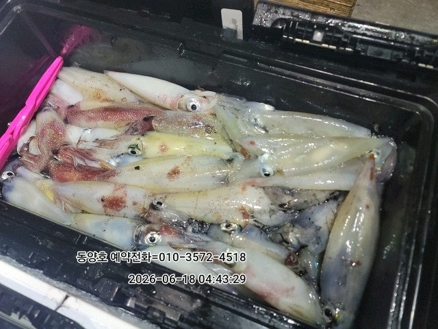 ����ڰ� �ø� �̹���