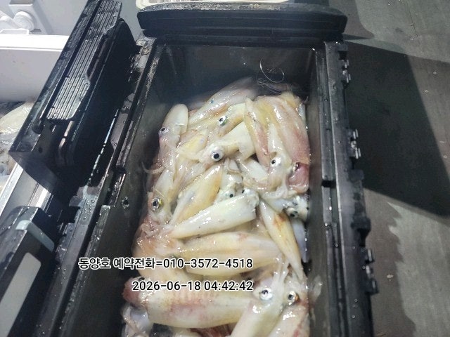 ����ڰ� �ø� �̹���